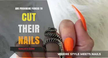 Prisoners' Nails: Rights and Restrictions