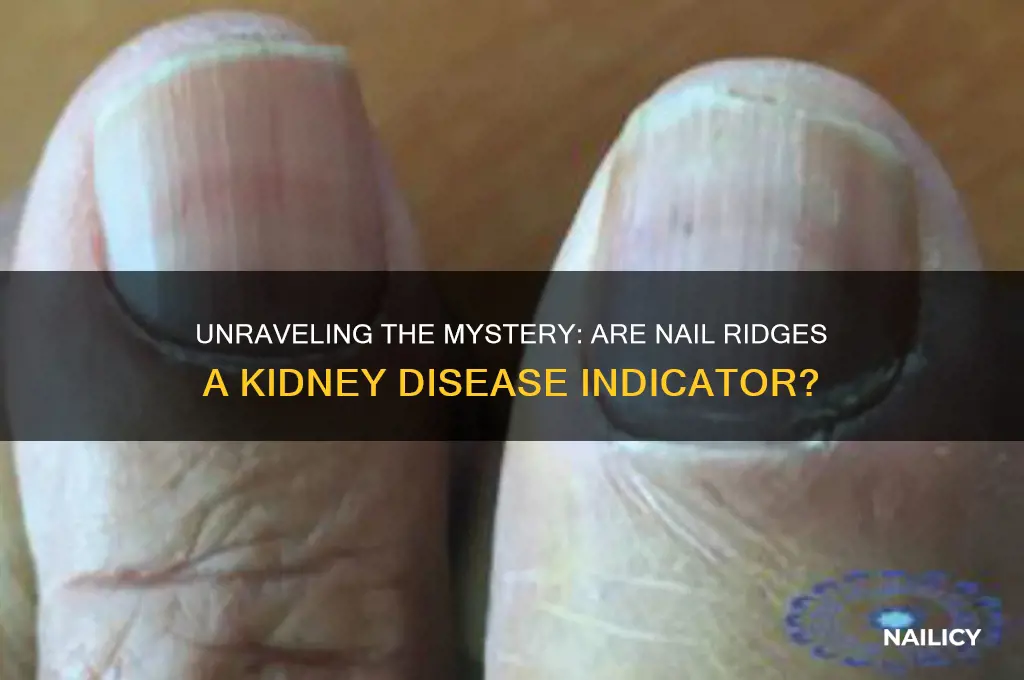 are ridges in finger nails a sign of kidney disease