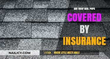 Does Homeowners Insurance Cover Roof Nail Pops? What You Need to Know
