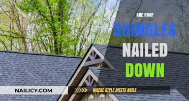 Are Roof Shingles Nailed Down? Understanding Proper Installation Techniques