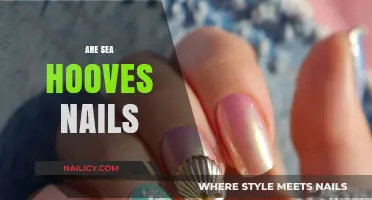 Unraveling the Myth: Are Sea Hooves Actually Nails?