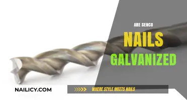 Are Senco Nails Galvanized? Understanding Rust Resistance in Fasteners
