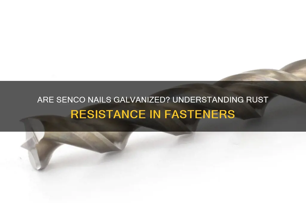 are senco nails galvanized