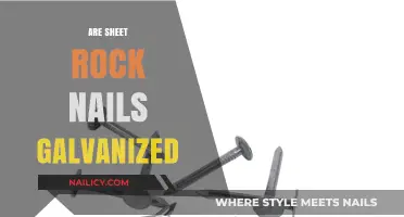 Are Sheet Rock Nails Galvanized? A Comprehensive Guide
