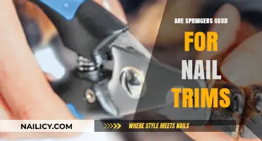 Springers: Easy Nail Trims for Happy Owners