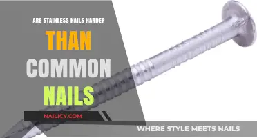 Stainless vs. Common Nails: Which is Harder and More Durable?