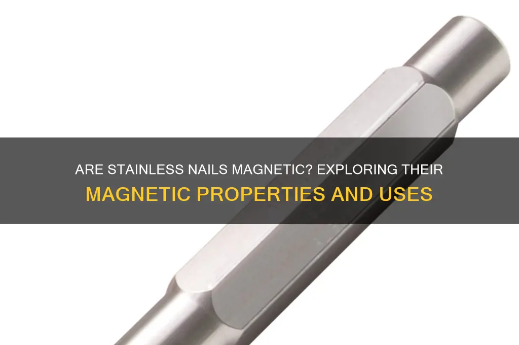 are stainless nails magnetic