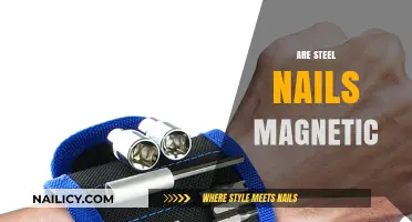 Are Steel Nails Magnetic? Unveiling the Truth Behind Metal Attraction