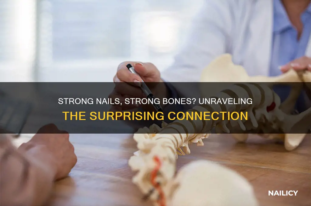 are strong nails a sign of strong bones