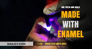 Teeth and Nails: Unraveling the Enamel Myth and Facts