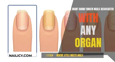 Unveiling the Mystery: Are Thumb Nails Linked to Organ Health?