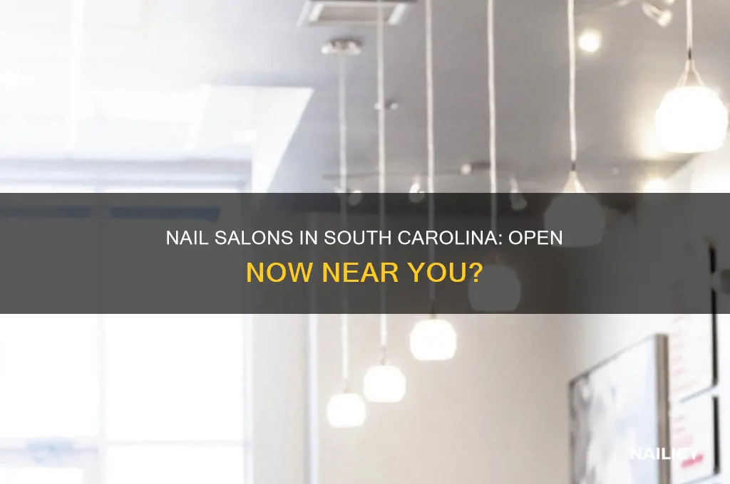 are there any nail salons open in south carolina
