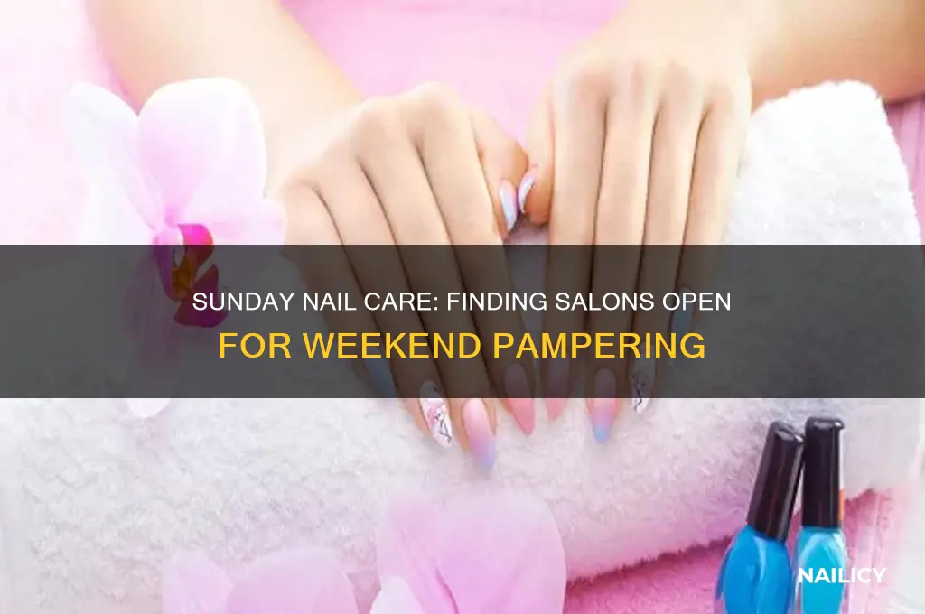 are there any nail salons open on sundays