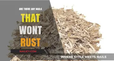 Rust-Free Nails: Discovering Durable Options That Withstand Corrosion