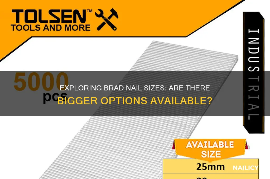are there bigger brad nails