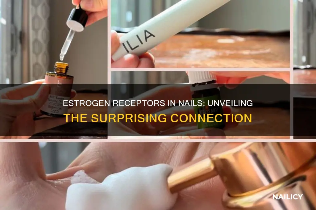 are there esrogen receptors in your nails