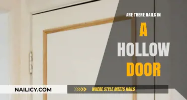 Hollow Doors: Do They Contain Nails? Unveiling the Construction Mystery