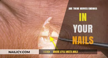 Do Your Nails Have Nerve Endings? Uncovering the Truth Behind Nail Sensitivity