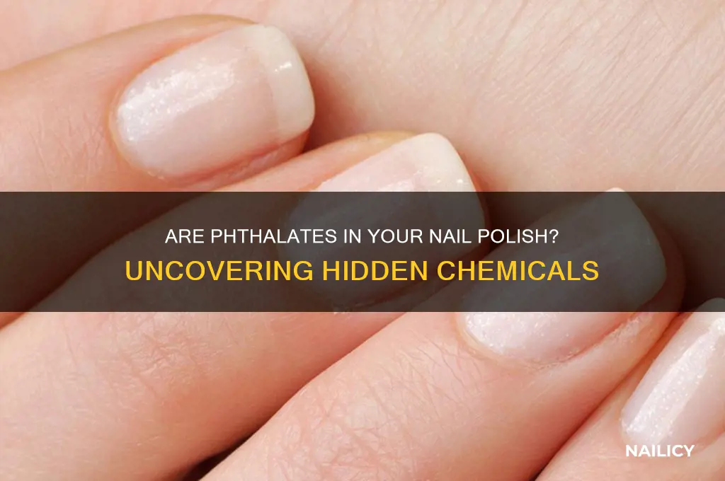 are there phthalates in nail polish