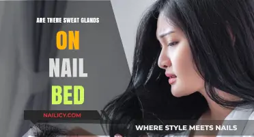 Do Nail Beds Have Sweat Glands? Uncovering the Truth Beneath Your Nails