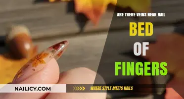Veins Near Nail Beds: Uncovering the Truth About Finger Anatomy