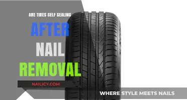 Self-Sealing Tires: Post-Nail Removal Protection?