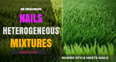 Ungalvanized Nails: Heterogeneous Mixtures or Pure Substances Explained