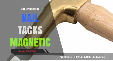 Are Upholstery Nail Tacks Magnetic? Uncovering the Truth Behind the Myth
