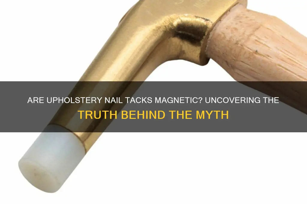 are upholstery nail tacks magnetic
