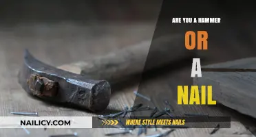 Hammer or Nail: Which Role Defines Your Leadership Style?