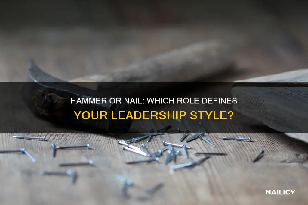 are you a hammer or a nail