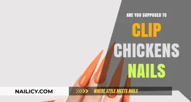 Should You Trim Your Chickens' Nails? A Complete Care Guide