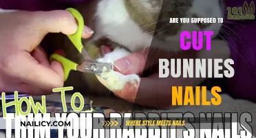 How to Care for Your Bunny's Nails