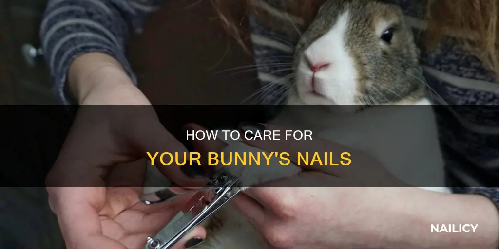 are you supposed to cut bunnies nails