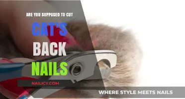 How to Trim Your Cat's Back Nails Safely