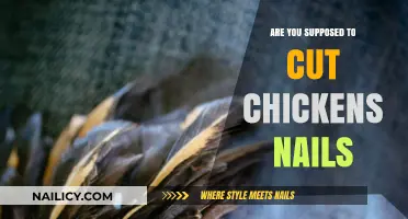 How to Care for Your Chicken's Nails