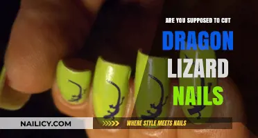 How to Care for Your Dragon Lizard's Nails