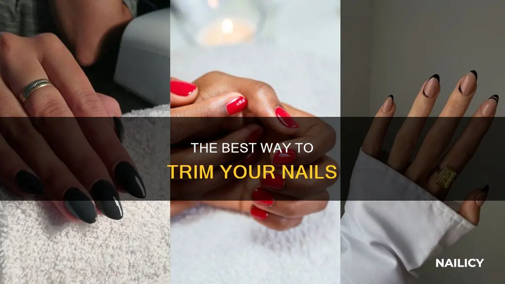 are you supposed to cut your nails straight or curved