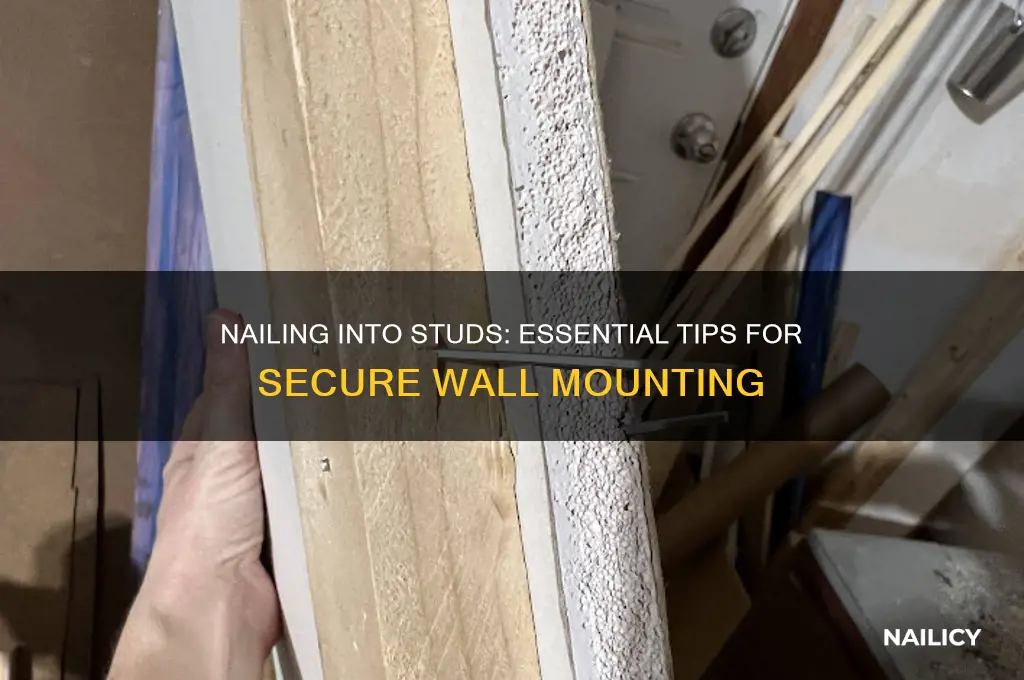 are you supposed to nail into studs
