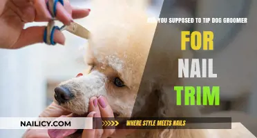 Should You Tip Your Dog Groomer for Nail Trims?