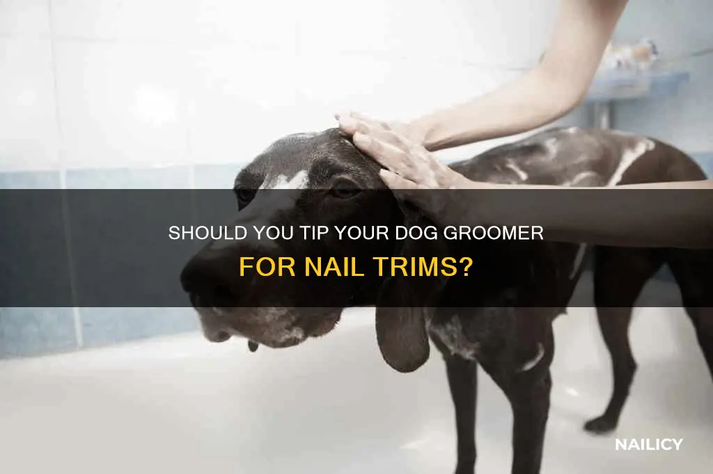 are you supposed to tip dog groomer for nail trim