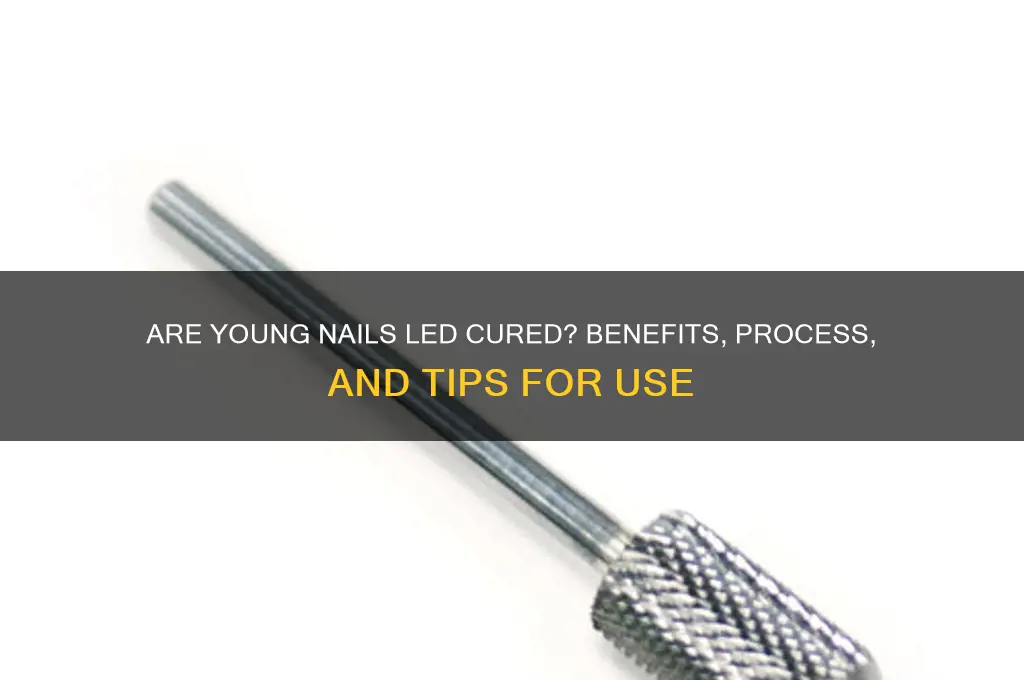 are young nails led cure
