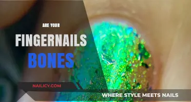 Are Fingernails Bones? Unraveling the Truth About Nail Composition