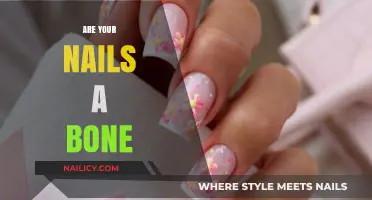Are Your Nails Bone? Unraveling the Truth About Nail Composition