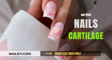 Are Your Nails Cartilage? Unraveling the Truth About Nail Composition