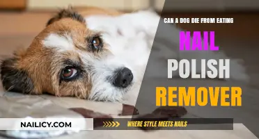How Nail Polish Remover Can Kill Your Dog