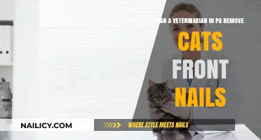 Vets in PA Can Declaw Cats: Is It Ethical?
