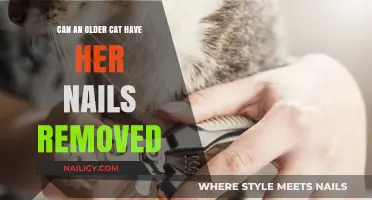 Older Cats: Is Nail Removal Safe?