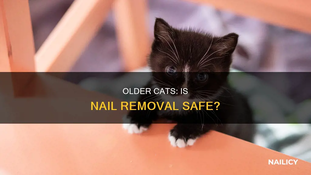 can an older cat have her nails removed