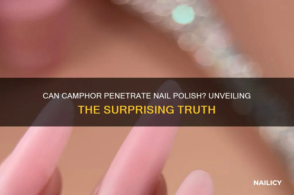 can camphor penetrate nail polish
